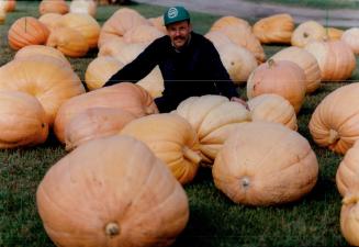 Steve Hoult - Farmer - Pumpkins