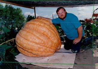 Pumpkin - 600 lbs