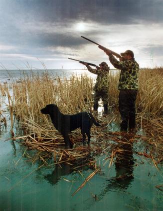 Hunt is on: Dave Ankney (foreground) and Sandy Johnson take aim at ducks in Long Point Bay on Lake Erie while Labrador retriever Chen stands ready