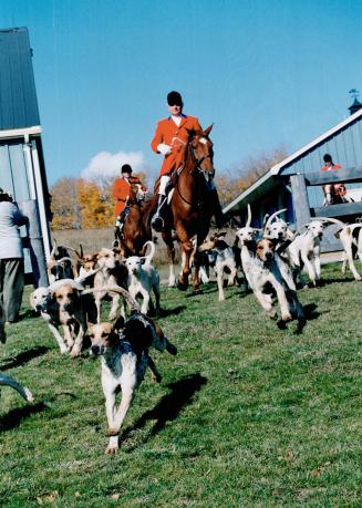 Hunt master Tom Potts starts the hounds running for the Caledon Hunt which has its next hunt starting at noon, Saturday, at Sifton Farms, Third Line W(...)