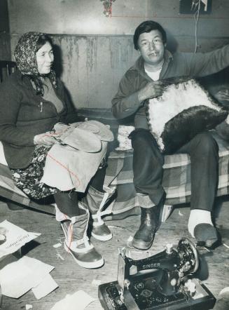 Bill Ottereyes, a Cree and a Waswonipi band councillor, holds a beaver skin in his one-room shack in Matagami, gateway to the land in which the huge J(...)