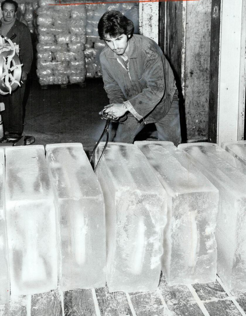Joe Lamaccha, 19, keeps his cool, He handles ice at Purity Ice plant on Markham St