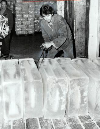 Joe Lamaccha, 19, keeps his cool, He handles ice at Purity Ice plant on Markham St