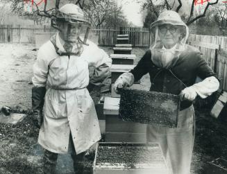 Tending 750,000 bees in 25 hives is how 75-year-old Stephan Wytwycky, right, spends his days at an 11-acre farm at Oakville established as a New Horiz(...)