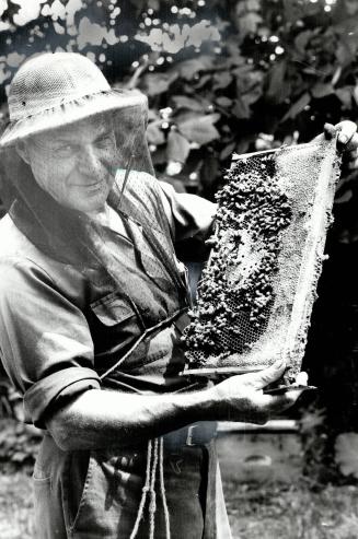 Beekeeper: John Sproule holds a honeycomb and some of the bees that keep him in business