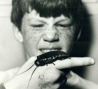 Museum 'bugs' little children, Philip Murphy, 9, of Oakville almost regrets his curiosity now that a live hissing cockroach from Madagascar is walking on his hand