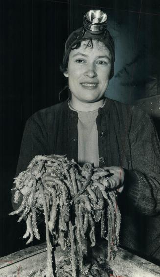 Big, fat gooey ones. Her hunting lamp strapped to her head, Mrs. Anibal Cordeiro checks night's harvest of fish bait from York Downs Golf Club--9,000 (...)