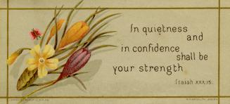 In quietness and in confidence shall by your strength