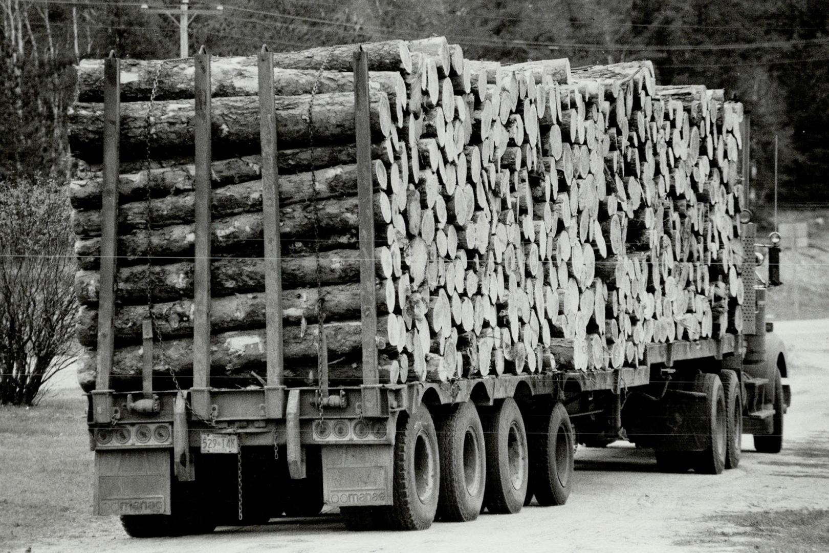 The write stuff: CP Forest's renovated Thunder Bay paper mill recycles 115,000 tonnes of newsprint per year