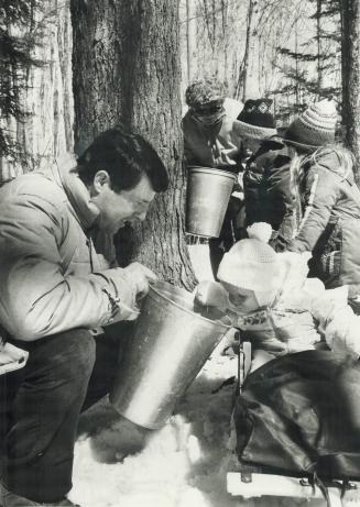 How long? Families like this one gathering maple sap every spring in Quebec and Ontario may see the trees disappear if governments ignore acid rain effects, producers say