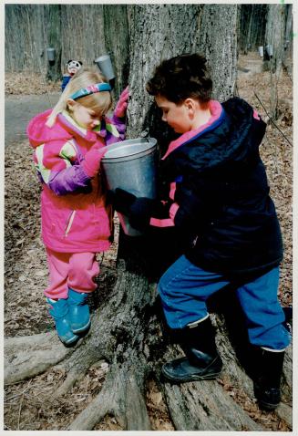 Sap's running?, Laura Verwymeren, 5, and her brother Ryan, 7, were among thousands of March Break visitors at the Mountsberg Conservation Area sugar bush near Milton