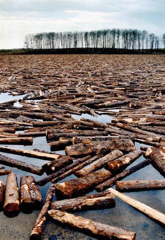 In a jam: Spruce Falls mill, where logs are destined, in Kapuskasing is threatened by slump in newsprint demand