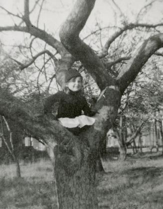 Image shows Audrey Owen at Benson Avenue sitting on the tree branch.