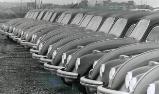 Import Invasion Force lands, A formidable phalanx of beetles lines up on Toronto's waterfront before delivery to Volkswagen dealers in Metro area. The(...)
