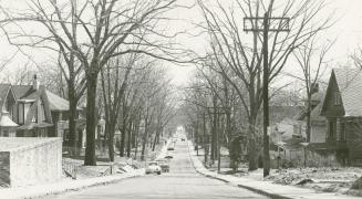 Balsam Avenue, looking south from Pine Avenue, Toronto, Ontario