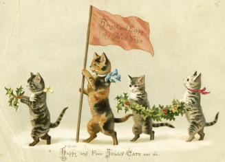 Happy and free jolly cats are we