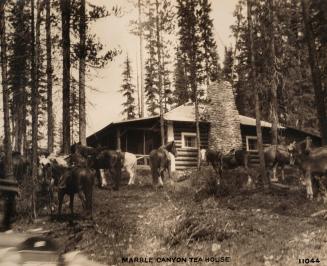 Marble Canyon Tea House 11044 [with horses]
