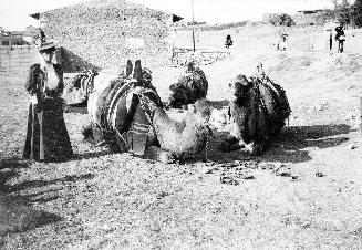 Jean Conan Doyle with camels
