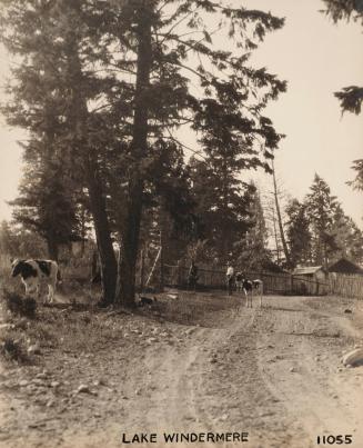 Lake Windermere 11055 [road with people and animals]