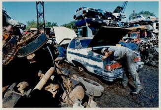 End of the Road: Wayne Tonner, of Dempsey's Wrecking Yard, checks out a car to see it parts can be salvaged