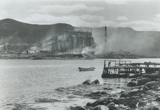 Polluting the water and air, this phosphorus-producing plant built by the Electric Reduction Company of Canada is the target for Newfoundland fisherme(...)