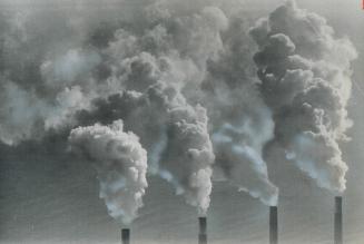 Smoke stacks that pollute the atmosphere unchecked because all society is partly responsible are an example of the collective blindness mentioned in t(...)