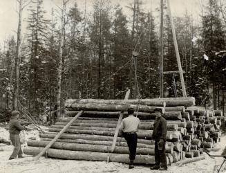 Logs are stacked neatly in rows throughout cutting areas and are later moved to the railway for shipment to war production centres. The inmates work o(...)