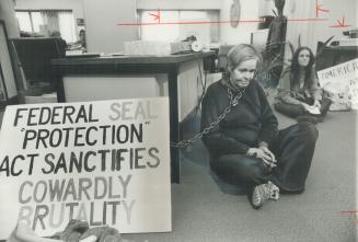 Chained to a cause, Seal hunt protester Merlin Andrews chained herself to a desk in the federal fisheries department office on Keele St. yesterday alo(...)
