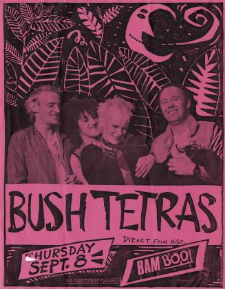 Poster shows the band the Bush Tetras under the night sky.