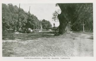 Black and white picture of road and large tree beside a lagoon and several boats.