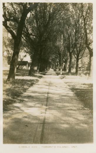 Photo of a wide sidewalk with large trees on each side and a glimpse of cottages in the backgro ...