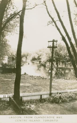 Photo of lagoon with trees and electrical pole in forefront.