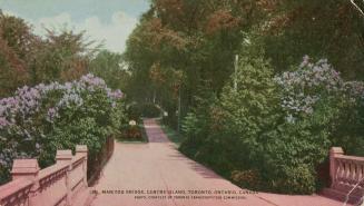 Colorized photograph of lilacs growing on either side a a concrete bridge.