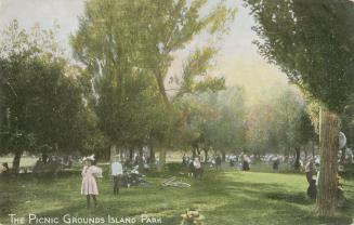 Several people in picnic area with large trees