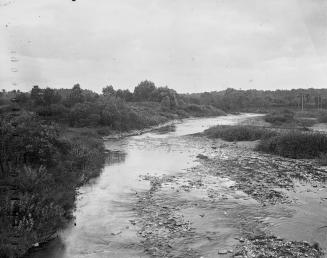 Humber River, looking north from Old Dundas St