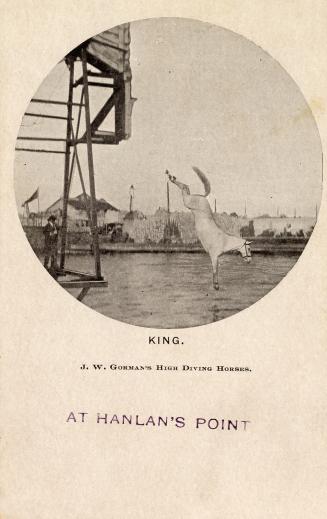Black and white photograph of a horse diving into water from a tower.