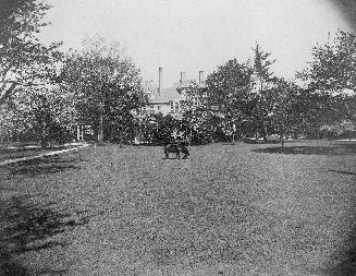 A photograph of the yard of a house, with a horse grazing.