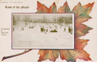 Large group of people tobogganing in a park. 