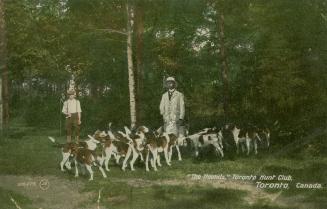 Two men standing in a forest with a large group of beagle dogs.