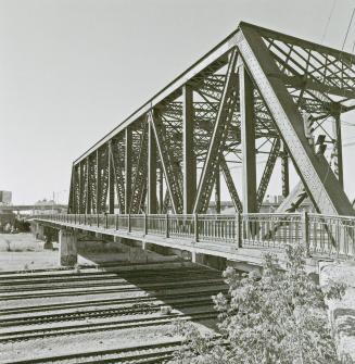 A photograph of a bridge, with railroad tracks and a small tree underneath. 