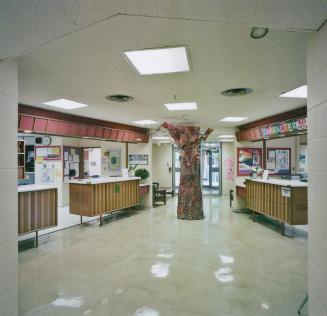 A photograph of an office area inside a public school, with desks and an artificial tree in the ...