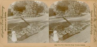 Pictures show a woman in a white dress looking at a planting of flowers in a park.