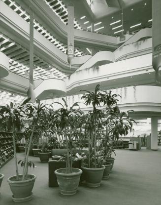 Picture of plants and seating on the ground floor atrium of Metropolitan Toronto Library and sh ...