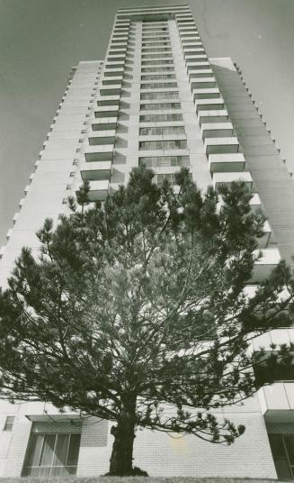 Photograph of a high rise apartment building with tree in front (black and white).