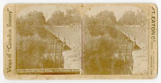 Pictures show and iron and steel trestle bridge. 