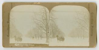 Pictures show a one horse sleigh with two people in it running a long a snow covered path.
