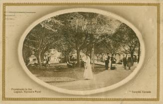 Picture of several people on a boardwalk surrounded by trees. 
