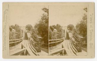 Pictures show a length of a wooden roller coaster track from one of the seats.