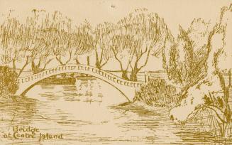 Line drawing of bridge over a lagoon surrounded by large trees. 