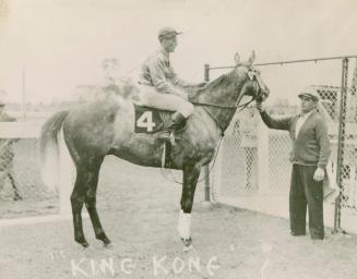 A photograph of a race horse standing in a grassy area surrounded by chain link fences. A jocke ...